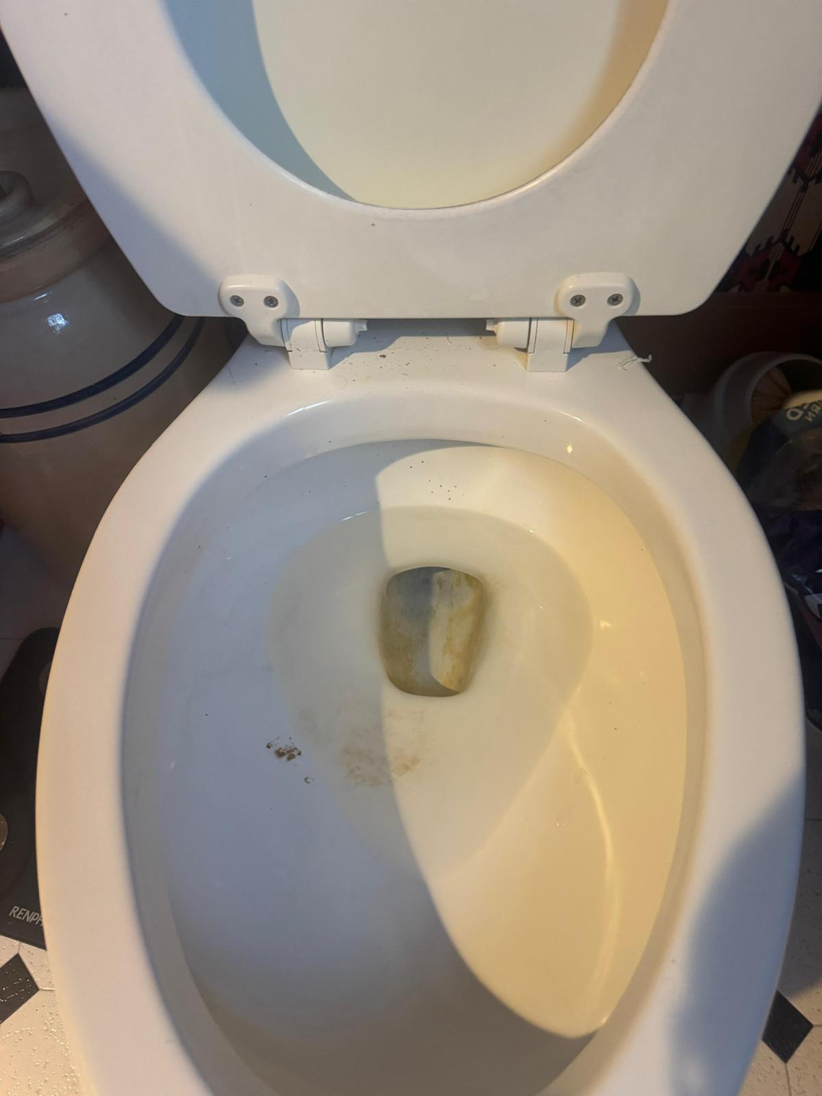 Disinfected commercial restroom and fixtures