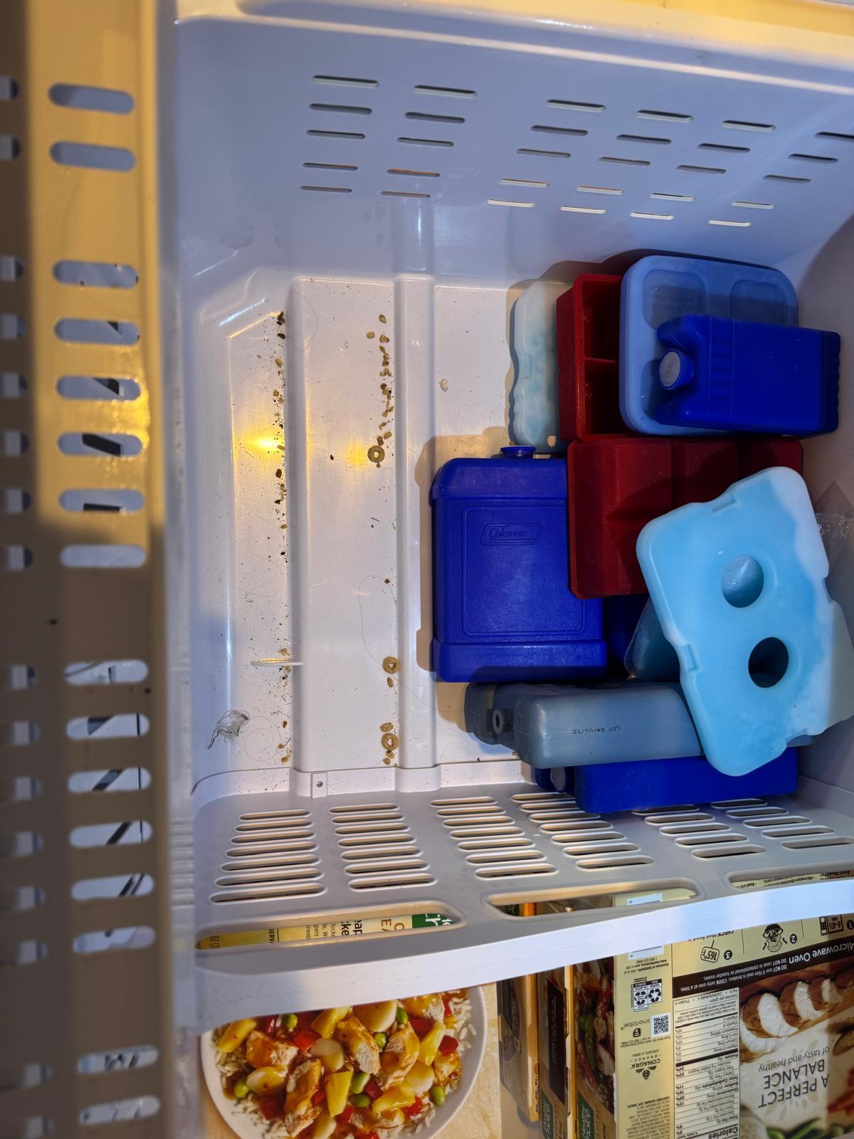 Post-construction cleaning for a commercial build-out